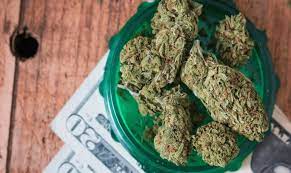 Buy Weed Online in BC for Easy Access to Local Cannabis Deals